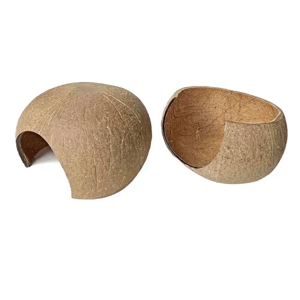 Coconut Hideout