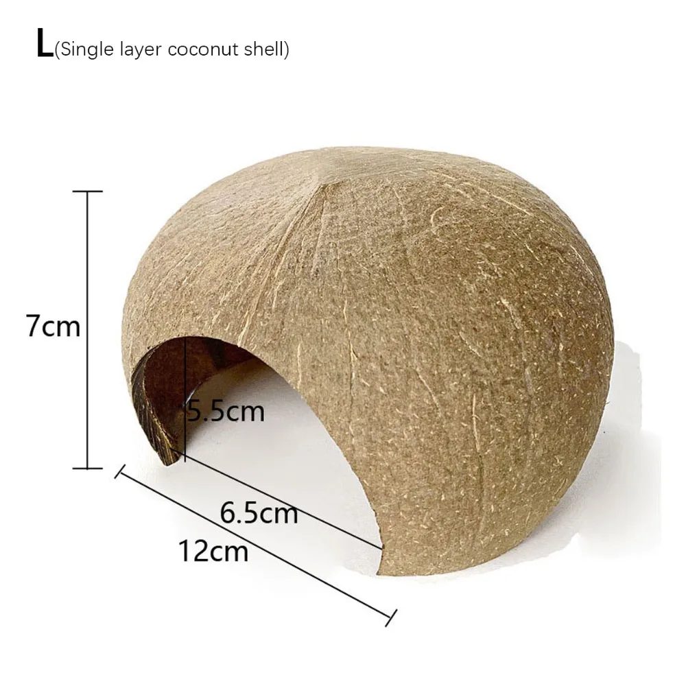 Coconut Hideout
