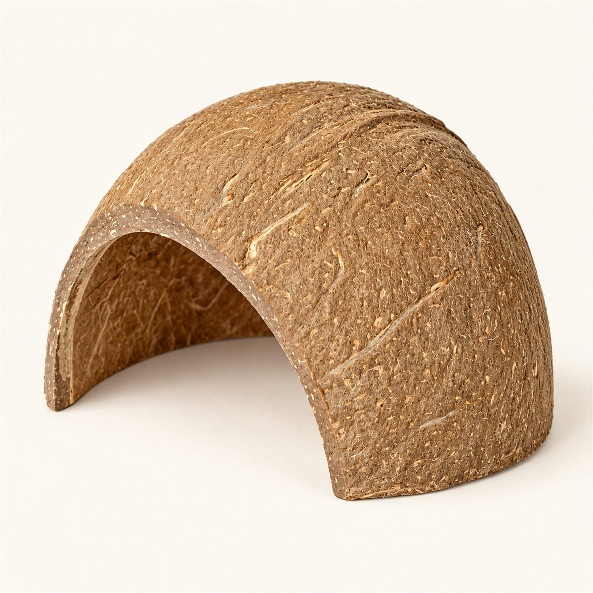 Illustrative image of Coconut Hideout, studio view